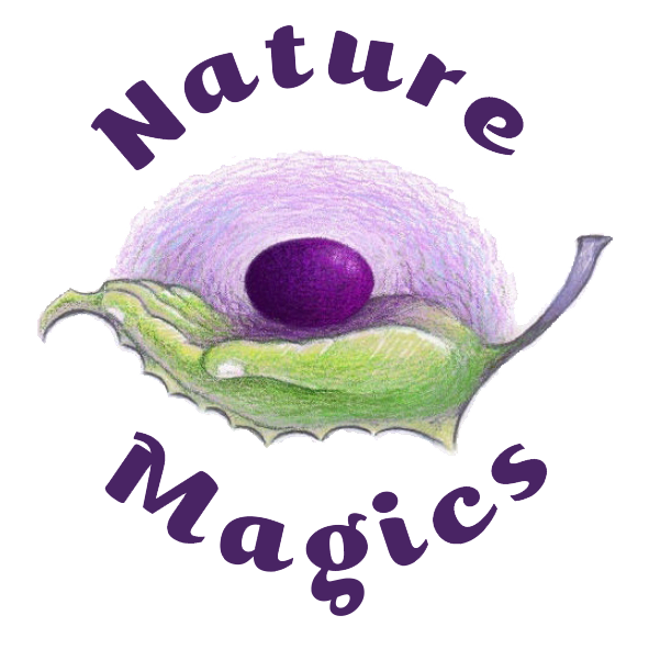 http://www.naturemagics.fi/wp-content/uploads/2018/06/NatureMagics-logo.png